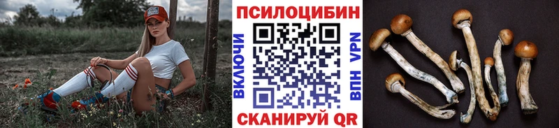 Псилоцибиновые грибы ЛСД  как найти   Каменск-Уральский 