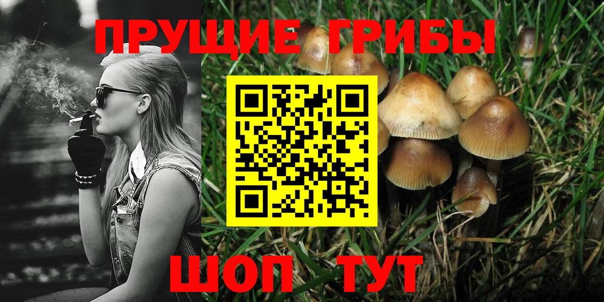 Псилоцибиновые грибы мицелий  Вход с VPN  Каменск-Уральский 